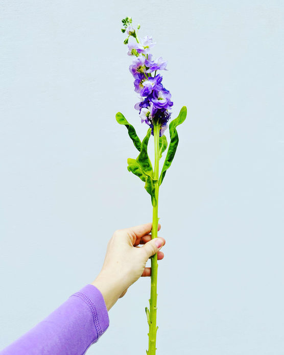 Bild von Ursel Kraft Bild von Ursel Kraft