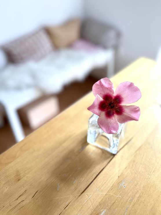 Bild von Ursel Kraft Bild von Ursel Kraft