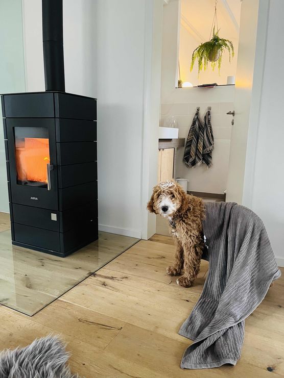 Bild von Trude Bild von Trude