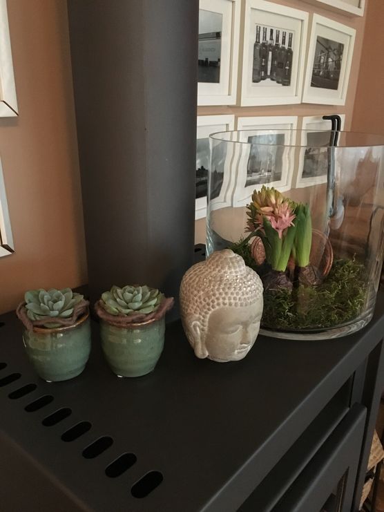 Die ersten Hyazinthen Die ersten Hyazinthen