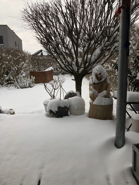 Winterwonderland .. schon wieder Winterwonderland .. schon wieder