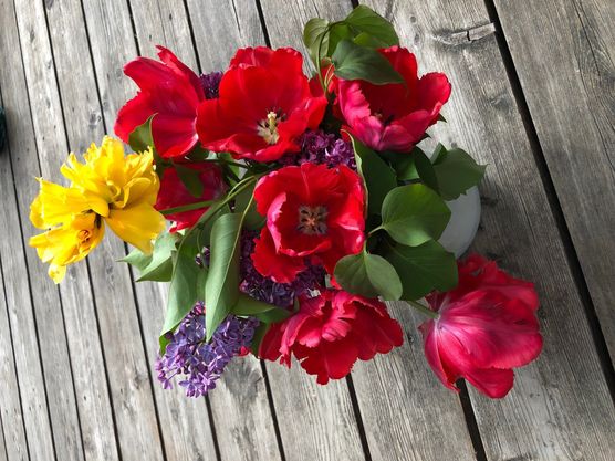 Blumen aus dem eigenen Blumen aus dem eigenen