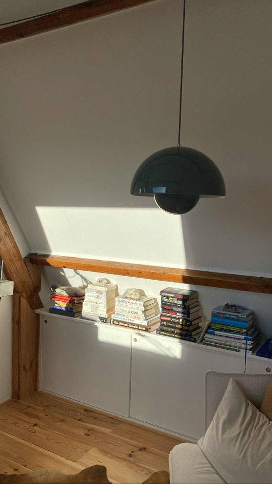 Bild von two dogs and a house Bild von two dogs and a house