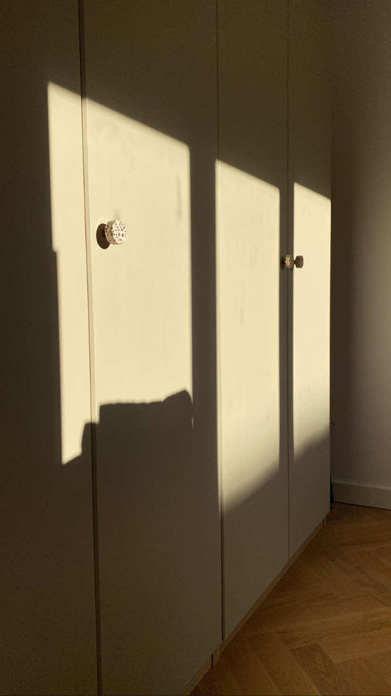 Bild von two dogs and a house Bild von two dogs and a house