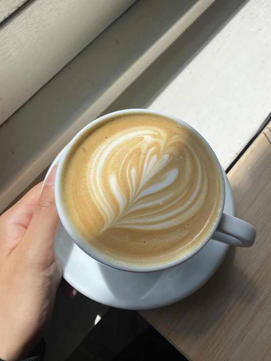 Bild von two dogs and a house Bild von two dogs and a house