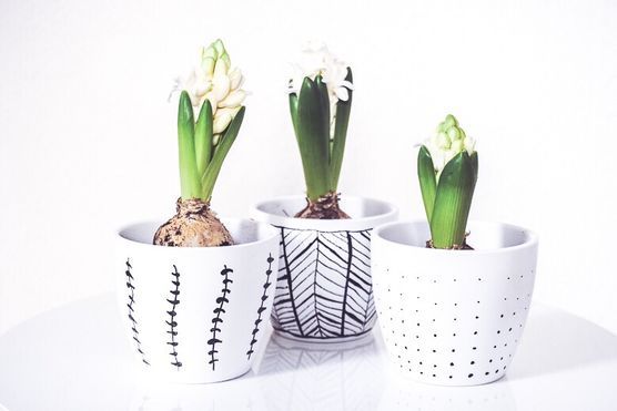 Frühlingsgefühle trotz grauem Wetter ... Frühlingsgefühle trotz grauem Wetter ...