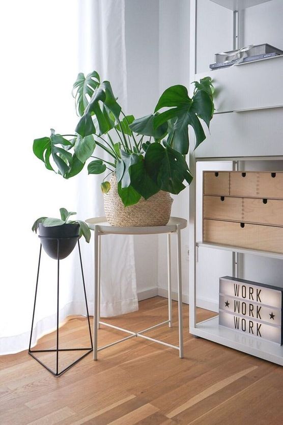 Grüne Grüße aus unserem Grüne Grüße aus unserem