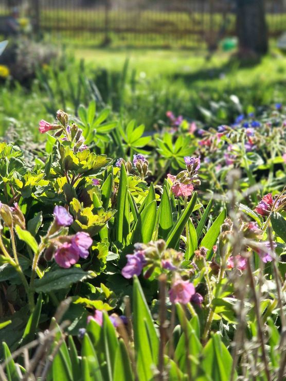 Bild von Kattis Home Bild von Kattis Home