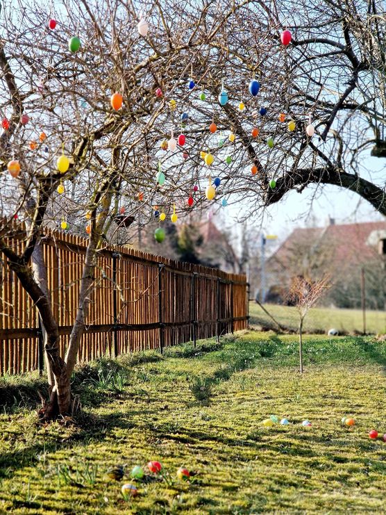 Bild von Kattis Home Bild von Kattis Home