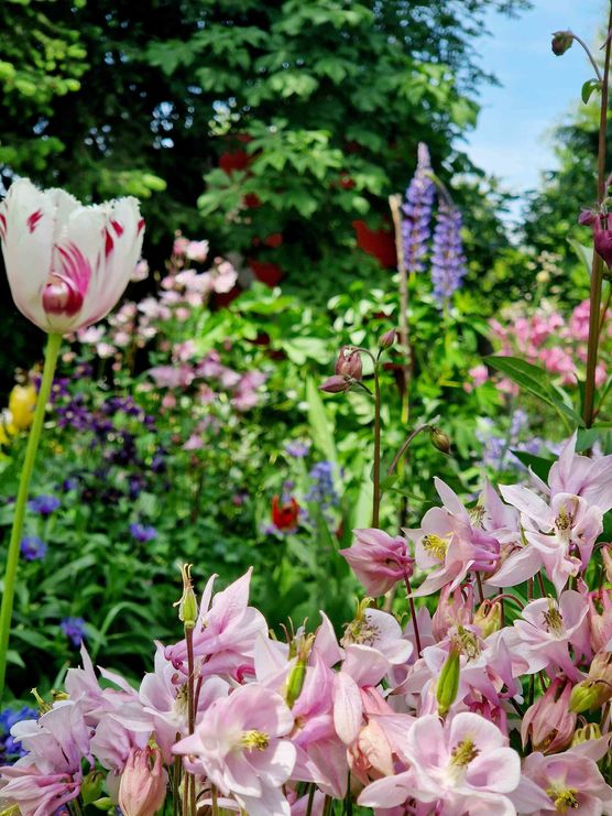 Bild von Kattis Home Bild von Kattis Home