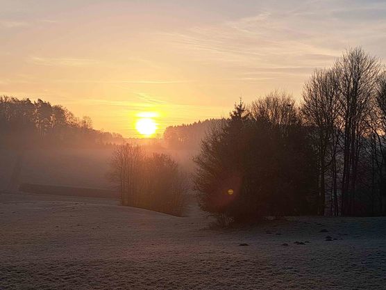 Bild von lenafae Bild von lenafae