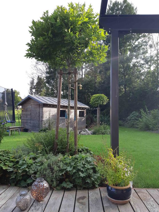 Bild von die.goldene.mitte Bild von die.goldene.mitte