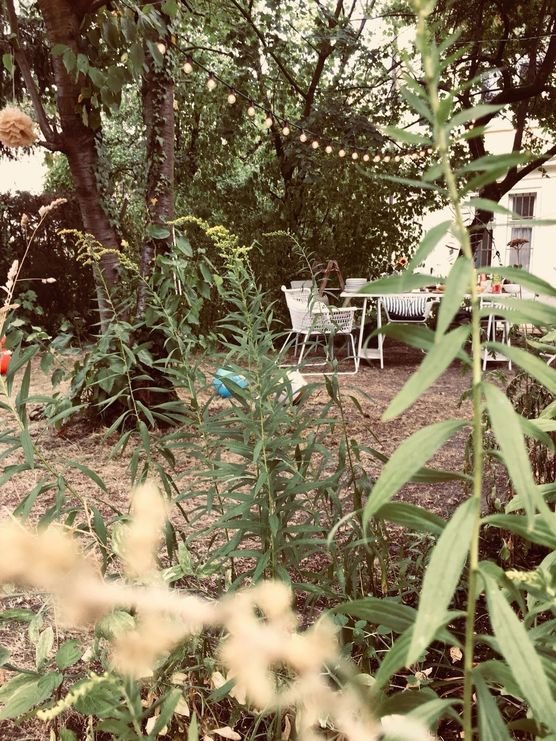 Unser wild romantischer Garten... Unser wild romantischer Garten...