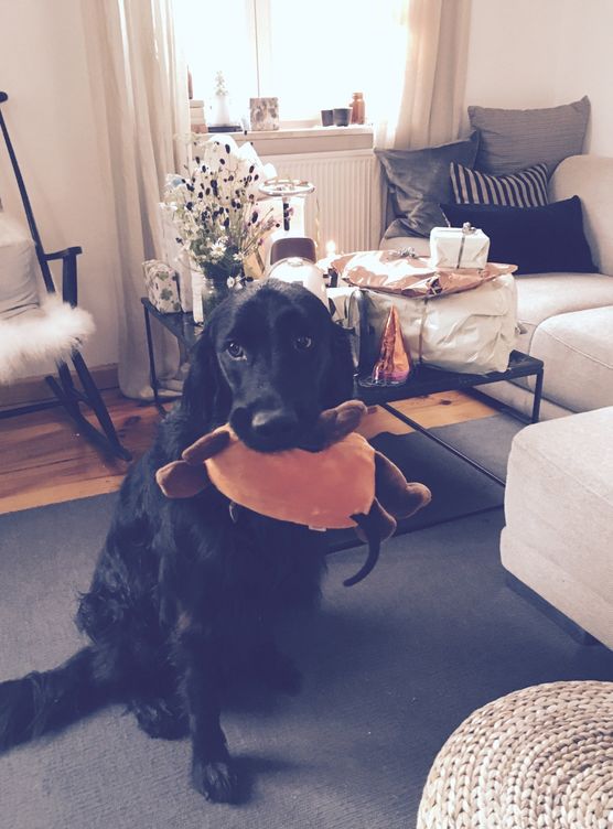 Dieser Blick sagt mehr Dieser Blick sagt mehr