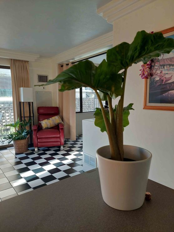 Bild von Malio Bild von Malio