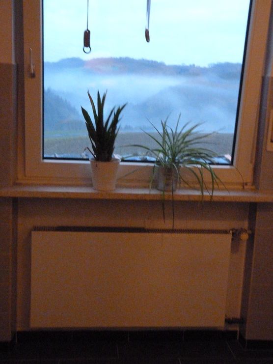 der Januar Blick aus dem Küchenfenster der Januar Blick aus dem Küchenfenster