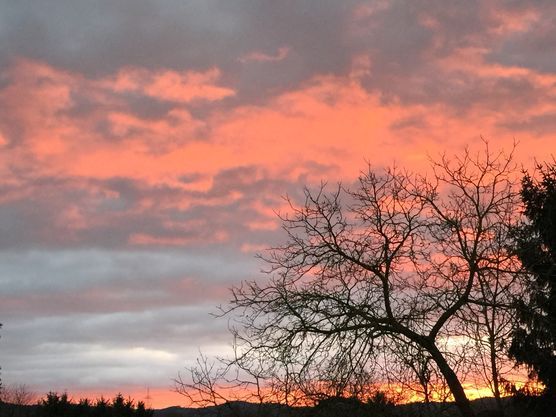 Heute morgen Heute morgen