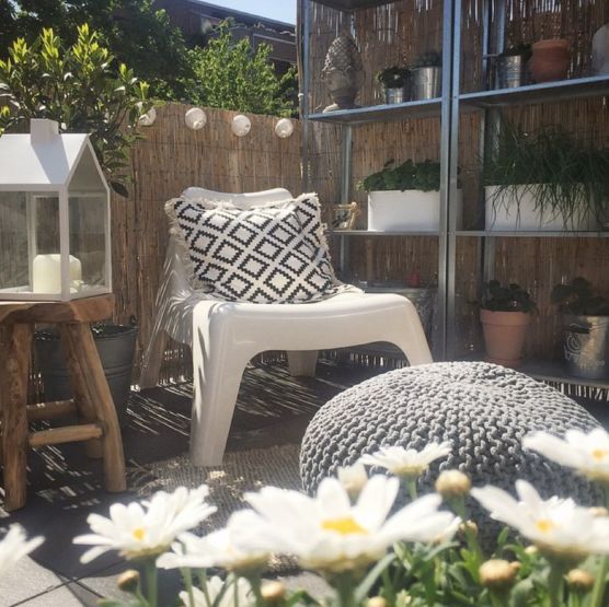 Sonnenanbeter Sonnenanbeter