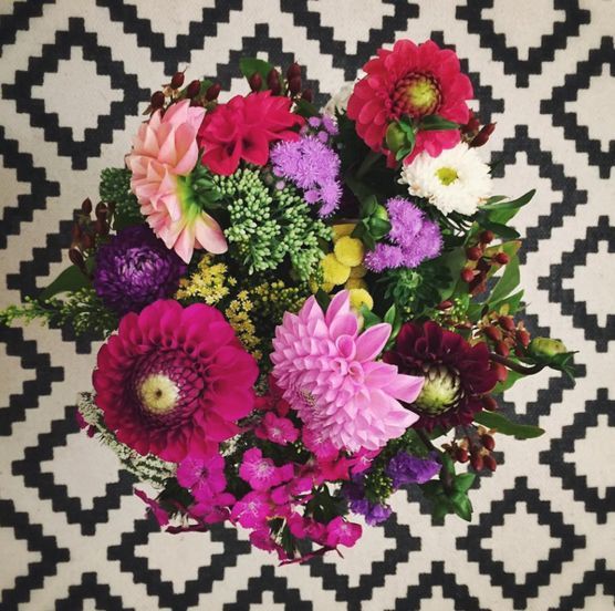 Farbknaller Farbknaller