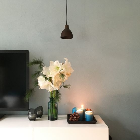 Neuer Mitbewohner Neuer Mitbewohner