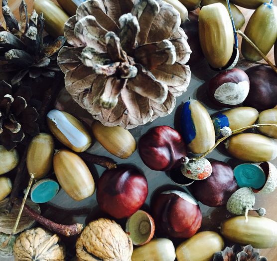 Waldfindlinge Waldfindlinge