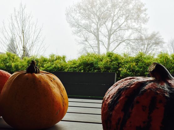 Novembernebel Novembernebel