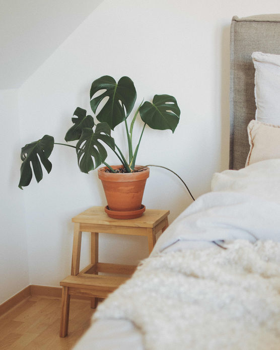 Bild von kristin.pli Bild von kristin.pli