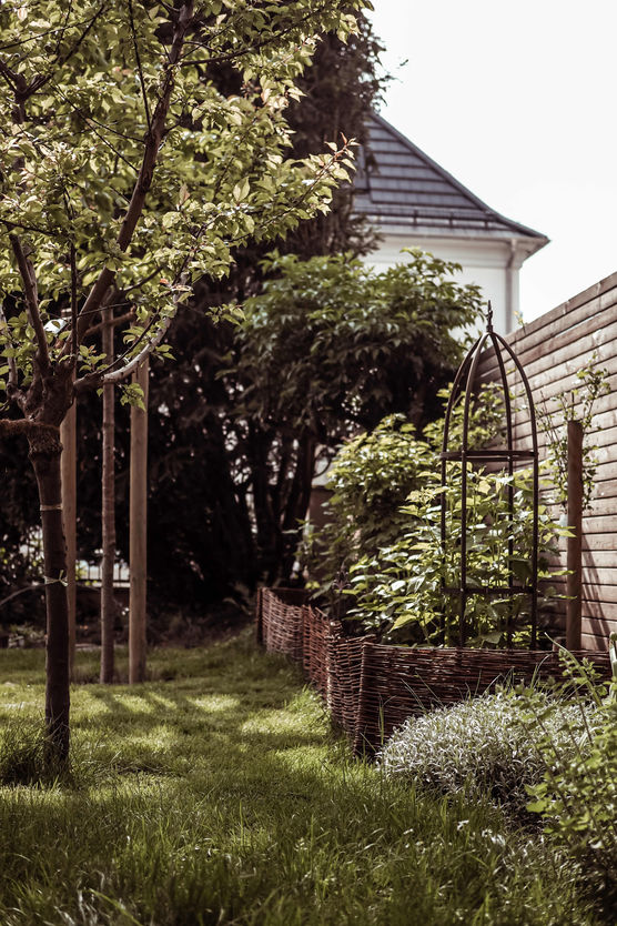 Bild von Vaniliebt Bild von Vaniliebt