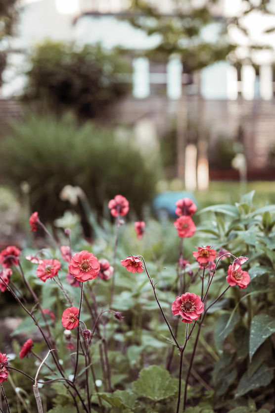 Bild von Vaniliebt Bild von Vaniliebt