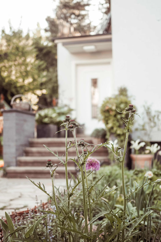 Bild von Vaniliebt Bild von Vaniliebt