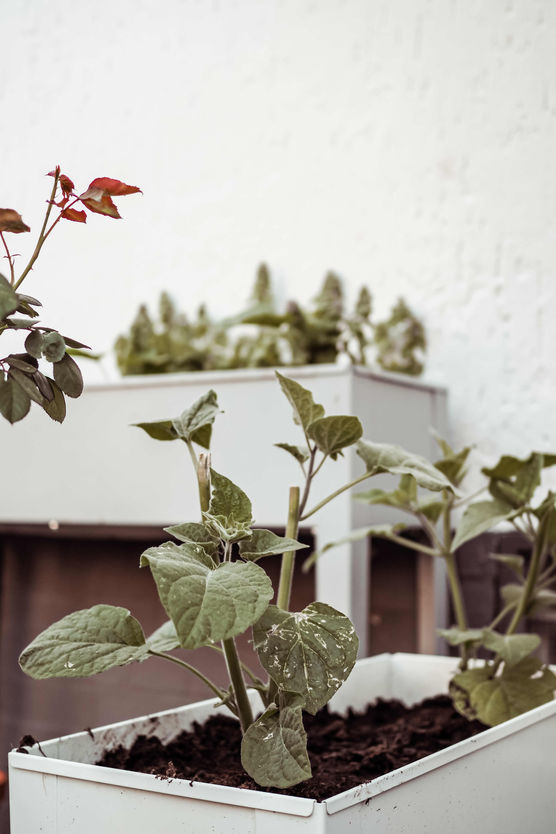 Bild von Vaniliebt Bild von Vaniliebt