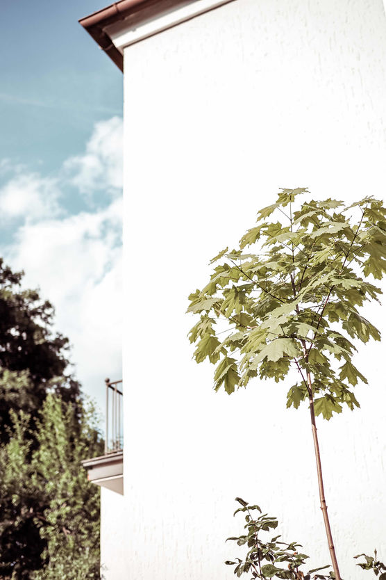 Bild von Vaniliebt Bild von Vaniliebt