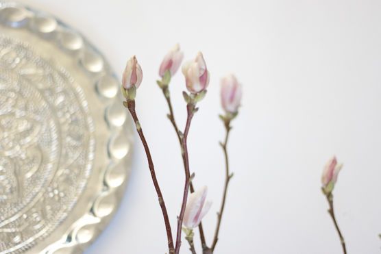 Frühlingsinspo Frühlingsinspo