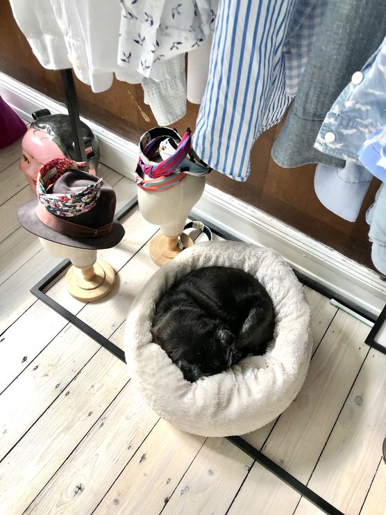 Meine Ankleide ist einer Meine Ankleide ist einer