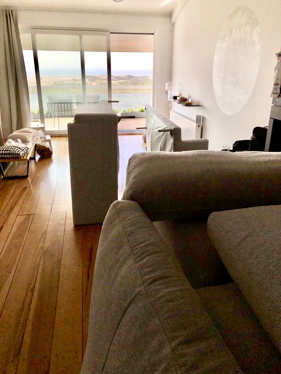 Today is the day! Today is the day!