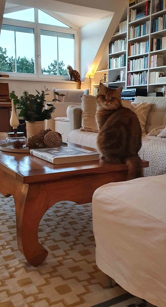 Bild von SoPe Bild von SoPe