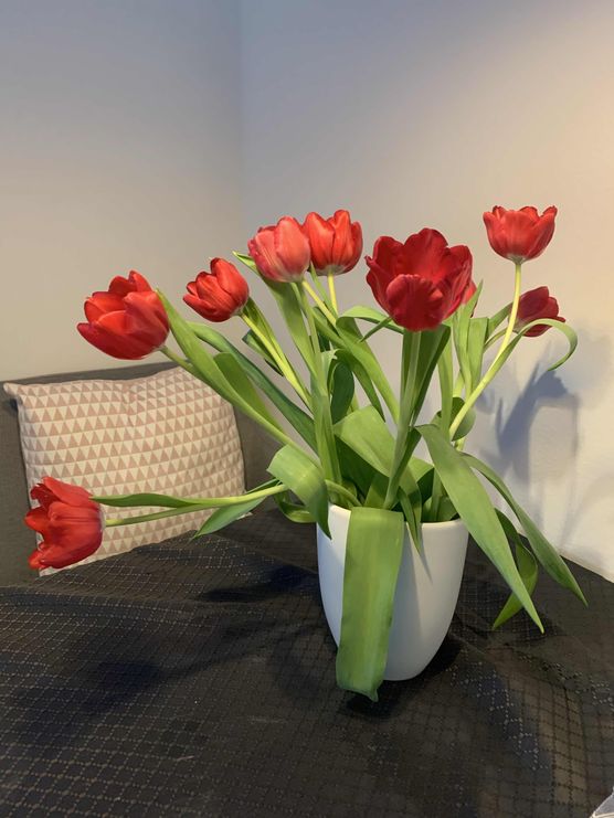 Bild von De_Deern Bild von De_Deern