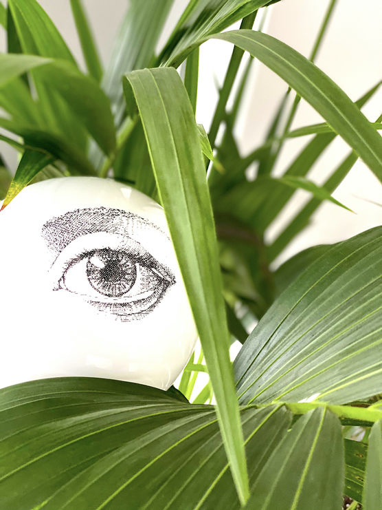 Bild von Rodrigo Vairinhos Bild von Rodrigo Vairinhos