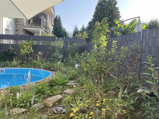 Bild von AjnaTub Bild von AjnaTub