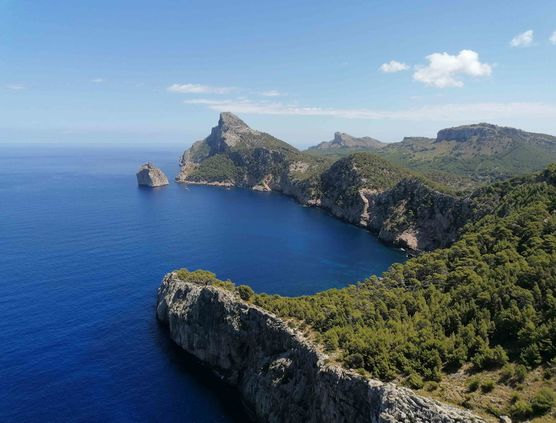 Bild von Rose Kanadas Bild von Rose Kanadas