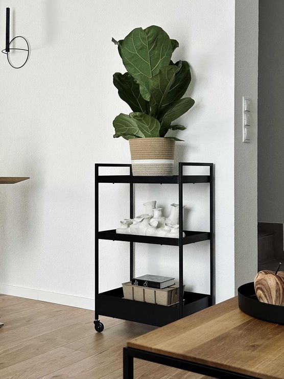 Bild von domi.lives Bild von domi.lives