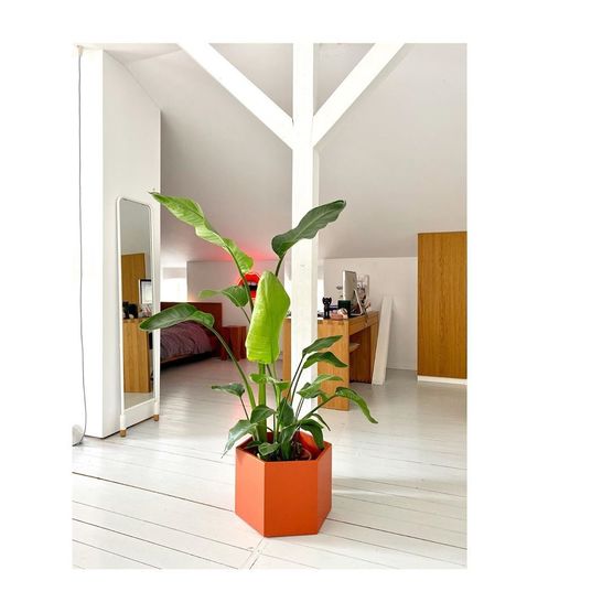 Ich bin ganz verliebt Ich bin ganz verliebt