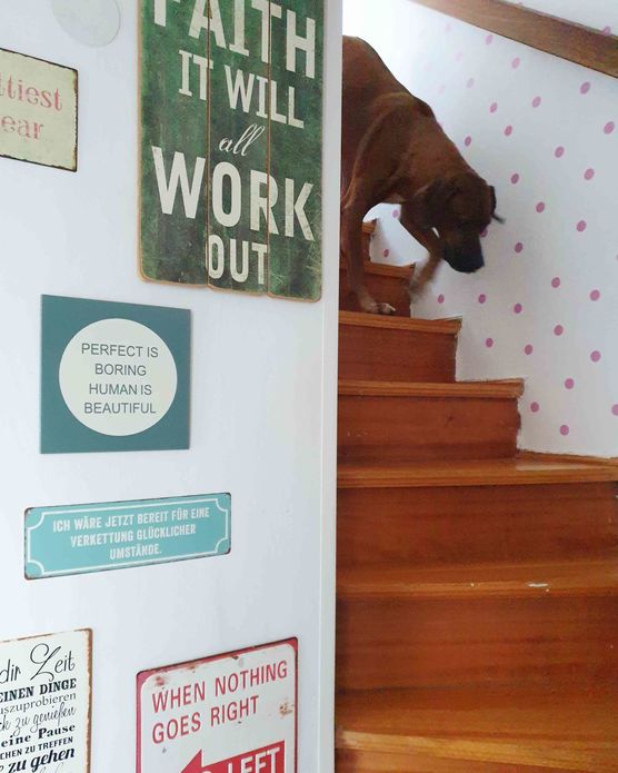 Bild von Käferleben Bild von Käferleben