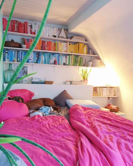 Bild von Käferleben Bild von Käferleben