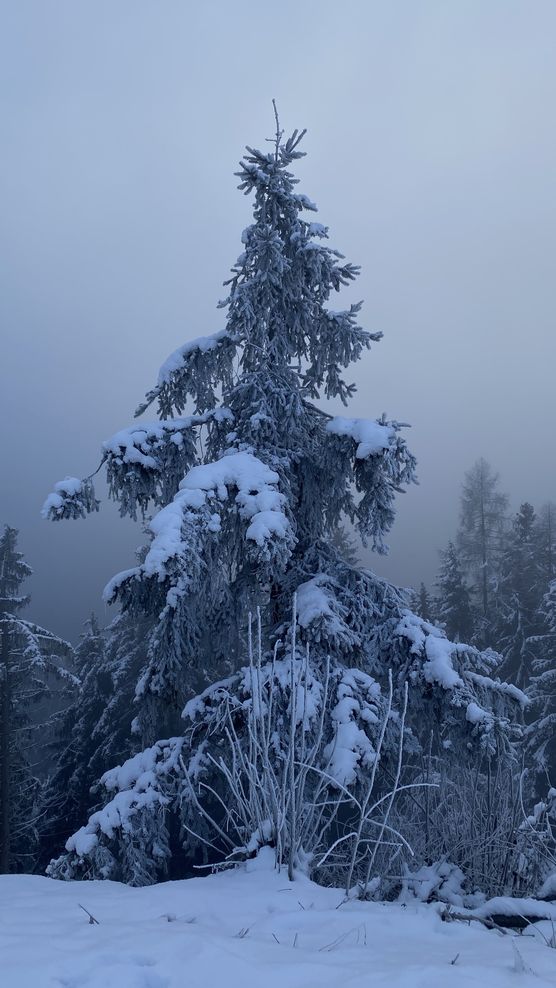 Manchmal muss man einfach Manchmal muss man einfach