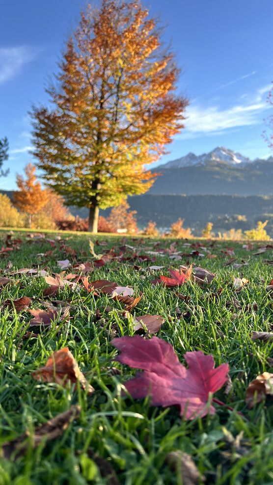 Die Berge sind schon Die Berge sind schon