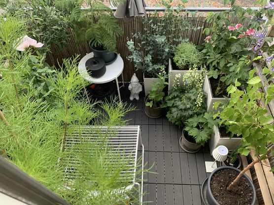 Bild von 3.stockrechts Bild von 3.stockrechts