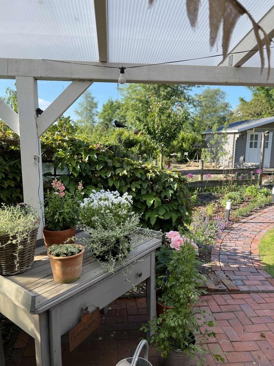 Bild von Landhausgartensky135 Bild von Landhausgartensky135