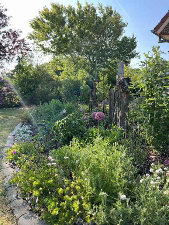 Bild von Landhausgartensky135 Bild von Landhausgartensky135