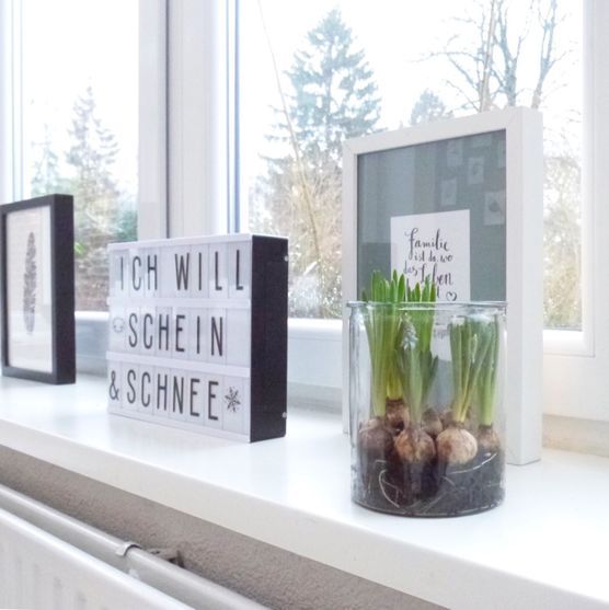 Frühlingsblumen oder Schnee und Sonnenschein Frühlingsblumen oder Schnee und Sonnenschein